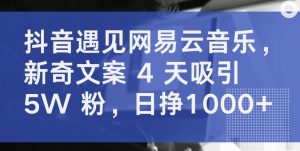 抖音遇见网易云音乐,新奇文案 4 天吸引 5W 粉,日挣1000+【揭秘】-第一资源库