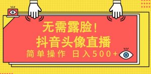 无需露脸,Ai头像直播项目,简单操作日入500+【揭秘】-第一资源库