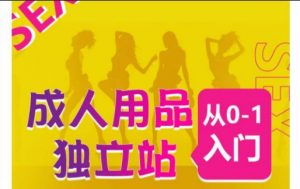 成人用品独立站从0-1入门,成品独立站运营全流程教学,七大好卖成品独立站推荐-第一资源库