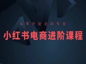 从零开始走向专业,小红书电商进阶课程-第一资源库