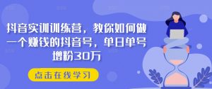 抖音实训训练营,教你如何做一个赚钱的抖音号,单日单号增粉30万-第一资源库