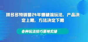 拼多多特训营24年爆破流玩法,产品决定上限,方法决定下限,各种玩法技巧落地实操-第一资源库