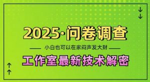 2025问卷调查最新工作室技术解密:一个人在家也可以闷声发大财,小白一天2张,可矩阵放大【揭秘】-第一资源库