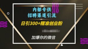 内部招聘渠道日引流300+创业粉,加爆你的微信【揭秘】-第一资源库