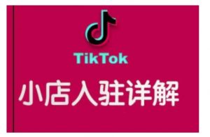 TikTok跨境小店运营全攻略,帮助你独立运营TK跨境小店的能力,实现销量增长-第一资源库