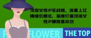 顶流女性IP实战班,流量上亿情绪引爆法,深度打磨顶流女性IP硬核基本功-第一资源库