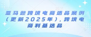 亚马逊跨境电商选品案例(更新2025年2月),跨境电商利基选品-第一资源库